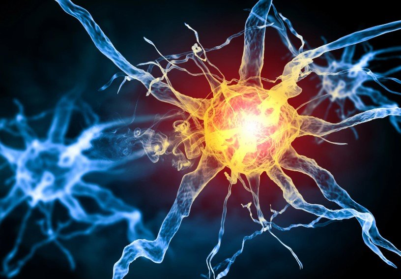 Understanding the Vagus Nerve: Science-Backed Ways to Support Mental Health